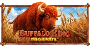 ภาพเกม Buffalo King Megaways ที่ hyp168 รวบรวมไว้